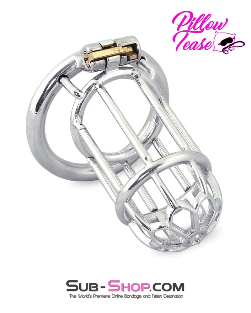 0483M      Behind Bars High Security Cock Cage Chastity Device