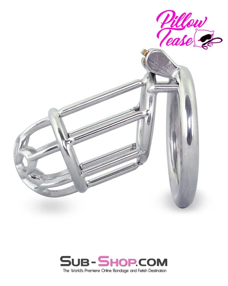 0483M      Behind Bars High Security Cock Cage Chastity Device