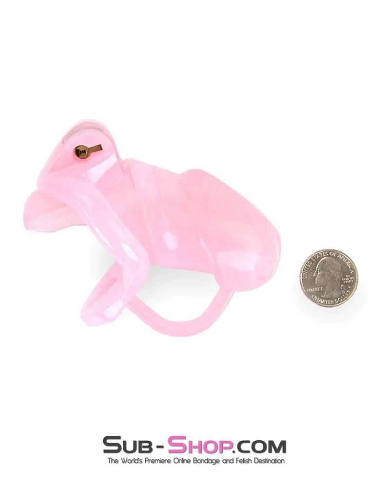 1358AR      Sissy Cock Blocker Silicone Tease and Torment Locking Male Chastity with Ball Divider - MEGA Deal