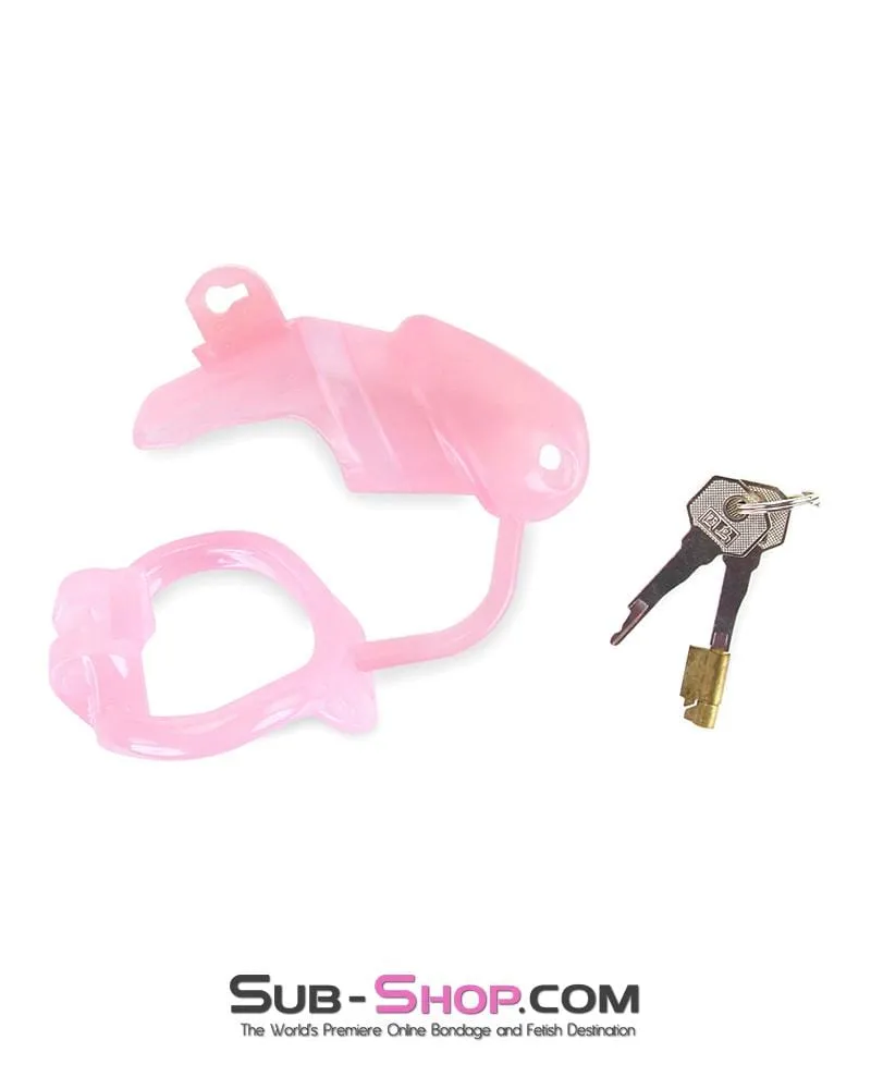 1358AR      Sissy Cock Blocker Silicone Tease and Torment Locking Male Chastity with Ball Divider - MEGA Deal