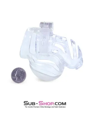 1414AR      The Vortex Clear Full Cock and Ball Enclosure High Security Locking Cock Tease Cage Chastity - MEGA Deal