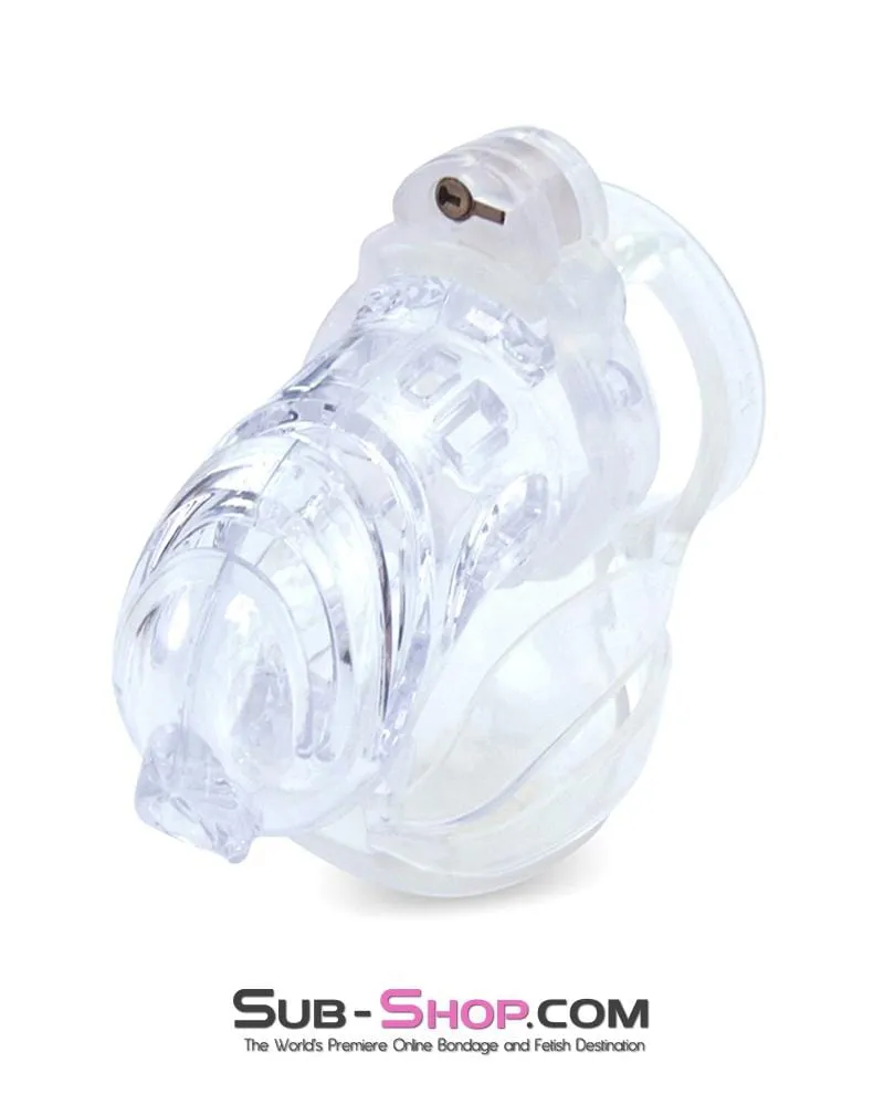 1414AR      The Vortex Clear Full Cock and Ball Enclosure High Security Locking Cock Tease Cage Chastity