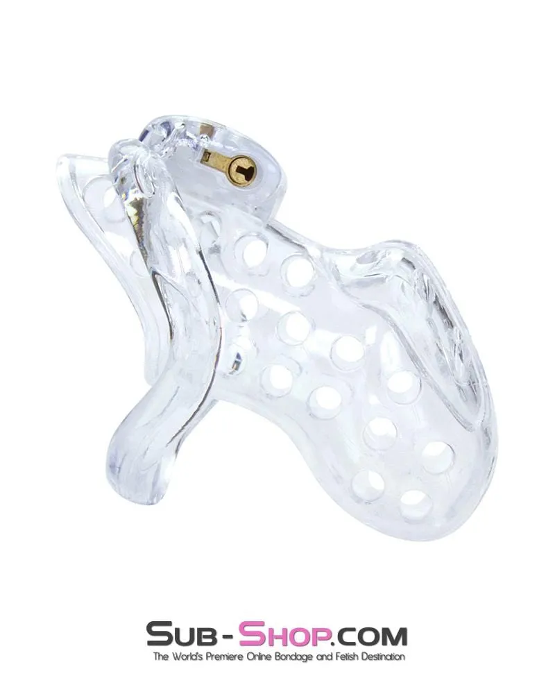 1422AR      Boy Toy Clear High Security Pin Tumbler Locking Cock Cage Chastity