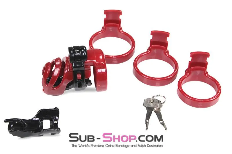 1559M-SIS      Sissy Trainer High Security Hinged Locking Male Chastity Device
