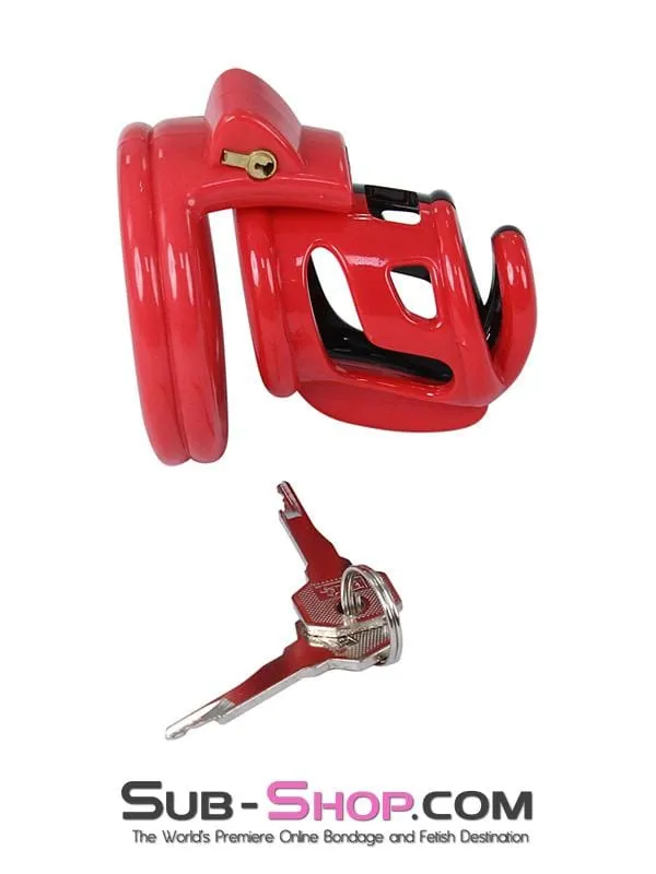 2421ML      The Protector Cock Teasing Cage - MEGA Deal