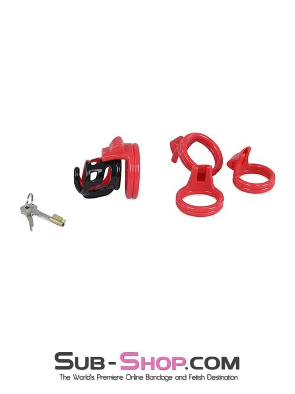 2421ML      The Protector Cock Teasing Cage - MEGA Deal