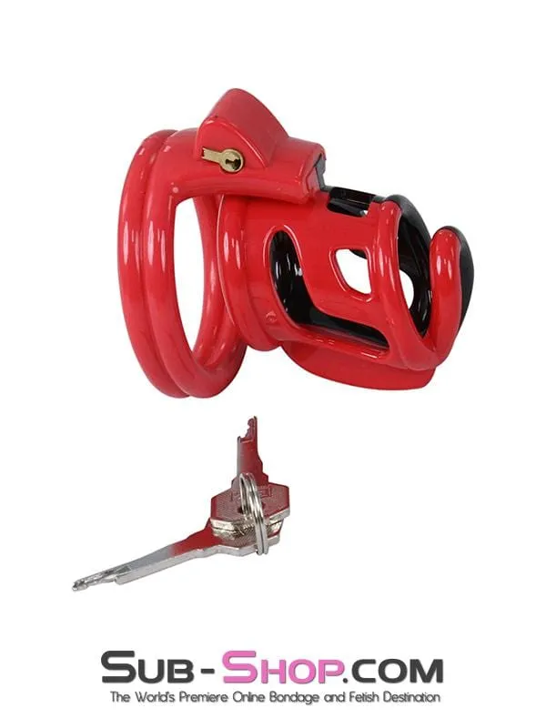 2421ML      The Protector Cock Teasing Cage - MEGA Deal