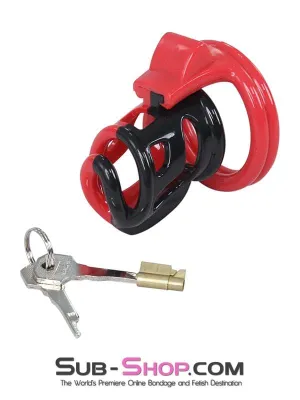 2421ML      The Protector Cock Teasing Cage - MEGA Deal
