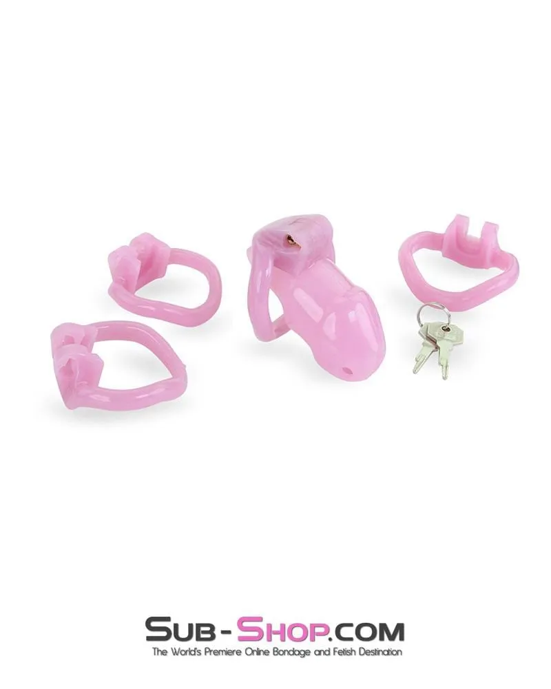 3744AE      Little Sissy Bitch Short High Security Keyed Tumbler Locking Male Chastity with 4 Base Cock Ring Sizes - MEGA Deal