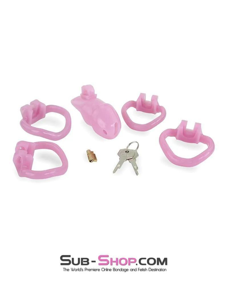 3744AE      Little Sissy Bitch Short High Security Keyed Tumbler Locking Male Chastity with 4 Base Cock Ring Sizes - MEGA Deal