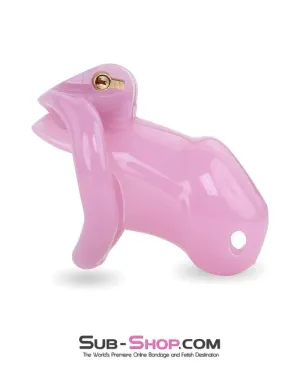 3744AE      Little Sissy Bitch Short High Security Keyed Tumbler Locking Male Chastity with 4 Base Cock Ring Sizes - MEGA Deal