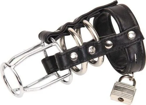3787HS    Intense Submission Locking Steel Ring Cage Cock Chastity