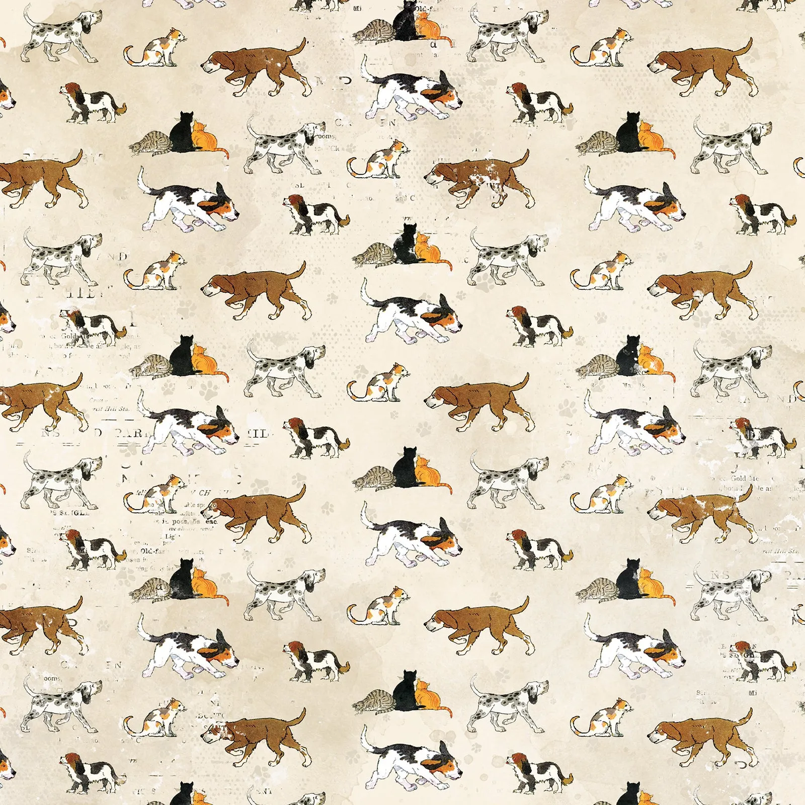 49 & Market - Toddler Time - 12x12 Single Sheets - Cats and Dogs