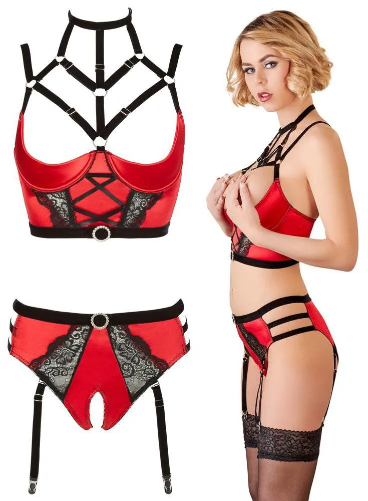 Abierta Fina Bustier with Waist-High Briefs