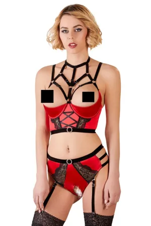Abierta Fina Bustier with Waist-High Briefs