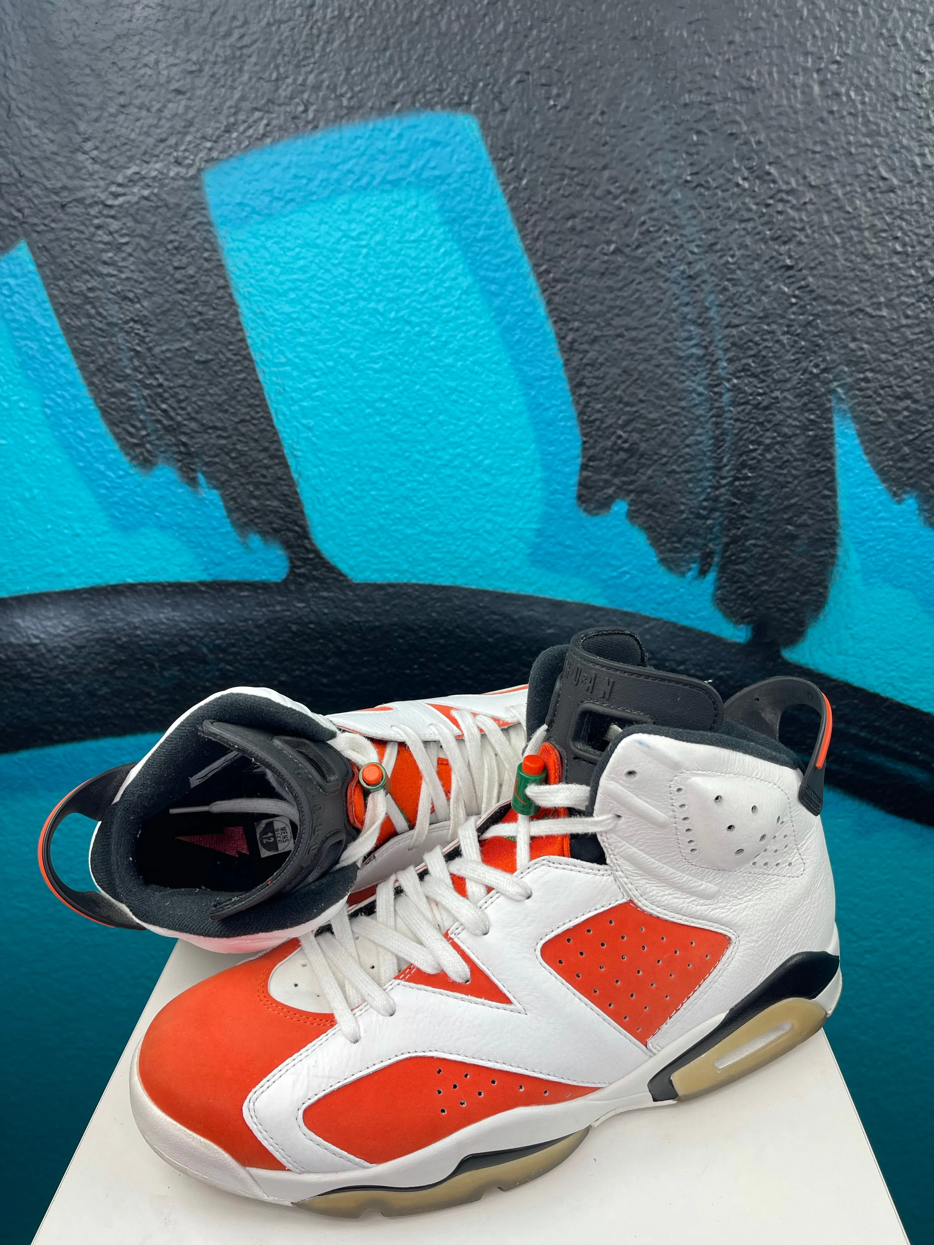 Air Jordan 6 Retro 'Gatorade'