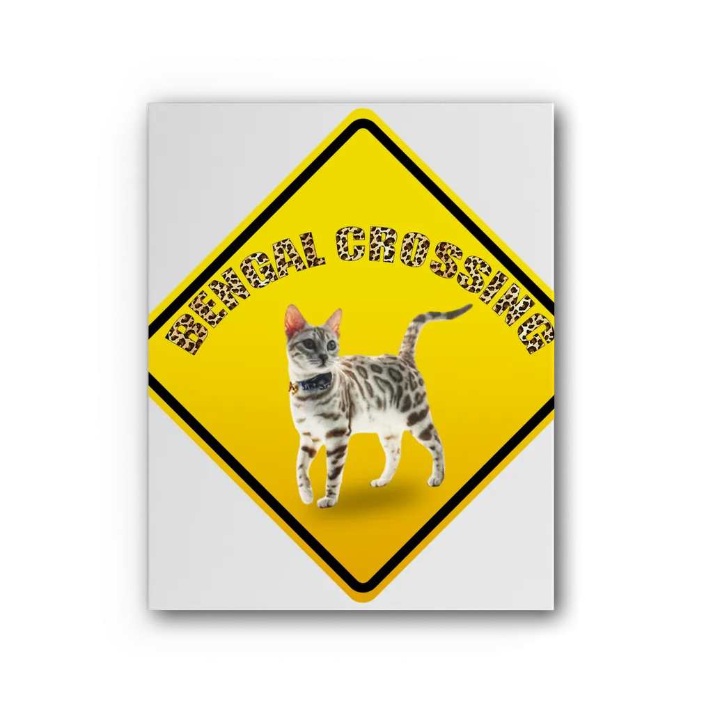 Bengals Premium Stretched Canvas