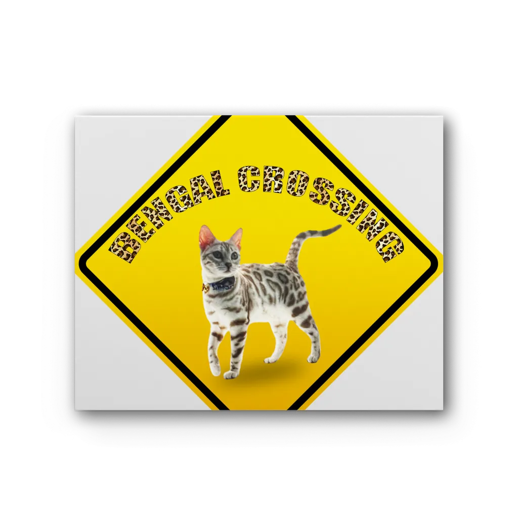 Bengals Premium Stretched Canvas
