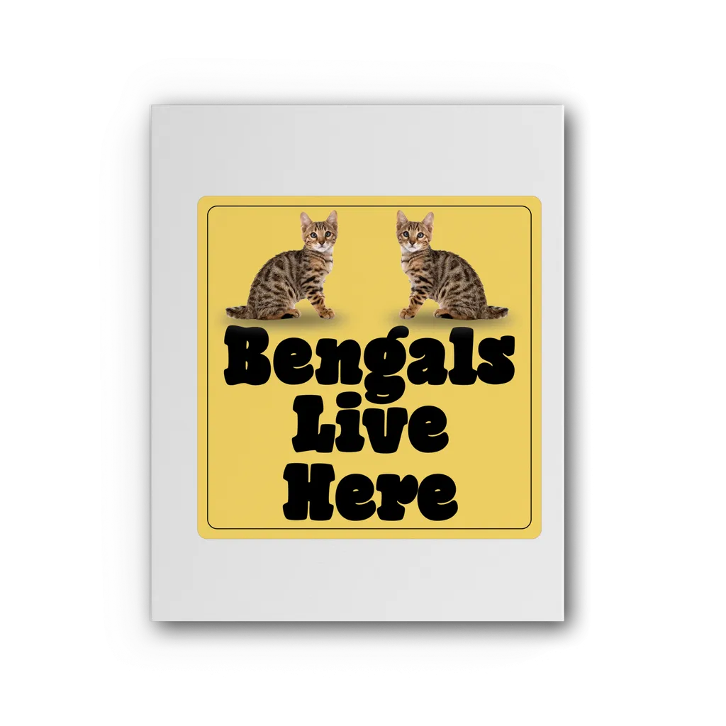 Bengals Premium Stretched Canvas