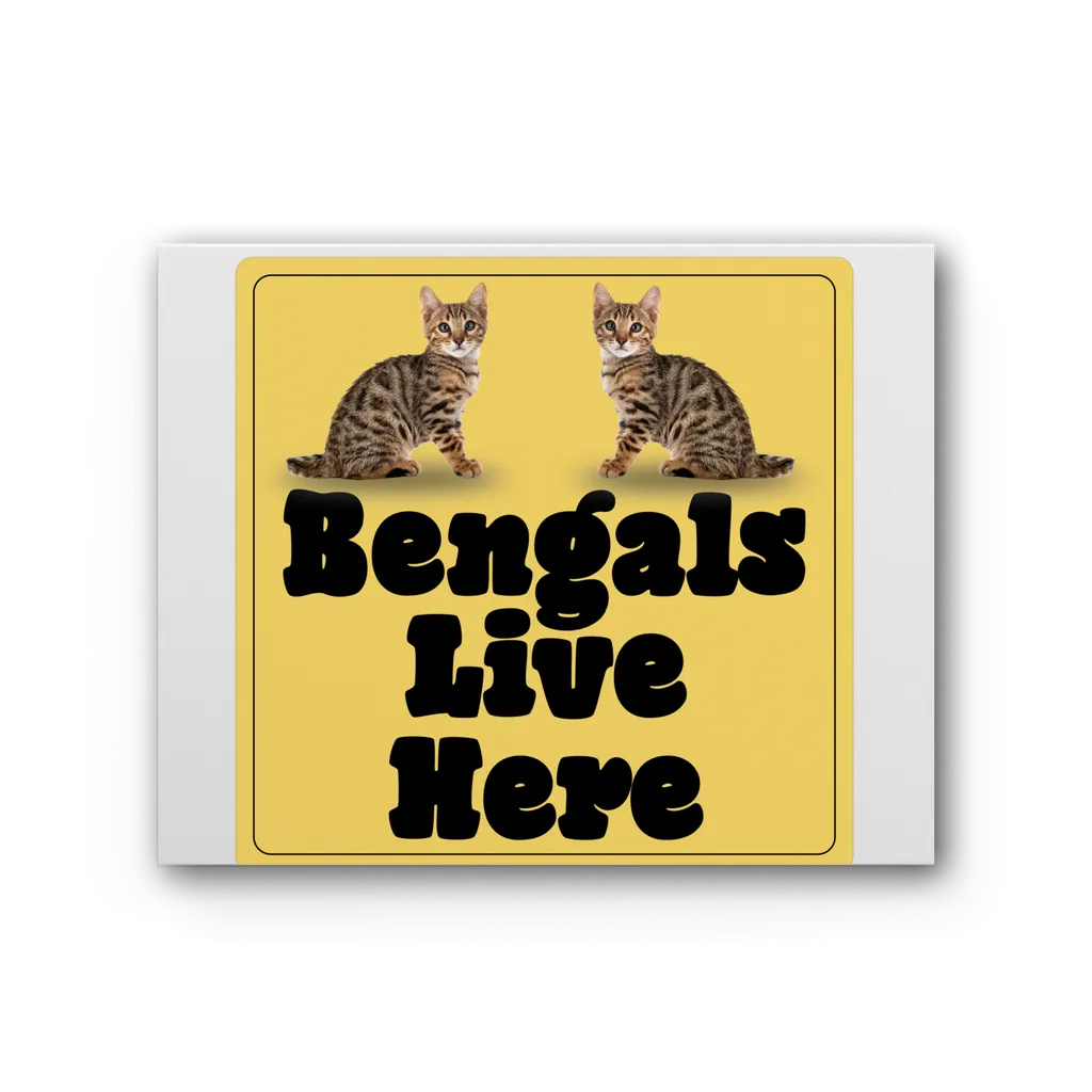 Bengals Premium Stretched Canvas