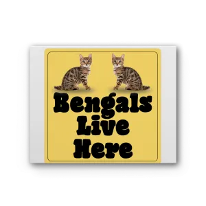 Bengals Premium Stretched Canvas