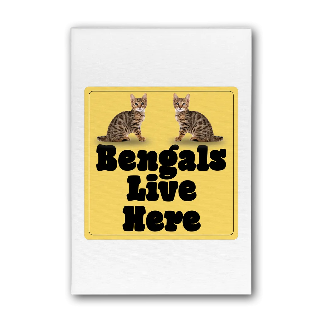 Bengals Premium Stretched Canvas