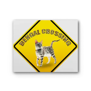 Bengals Premium Stretched Canvas