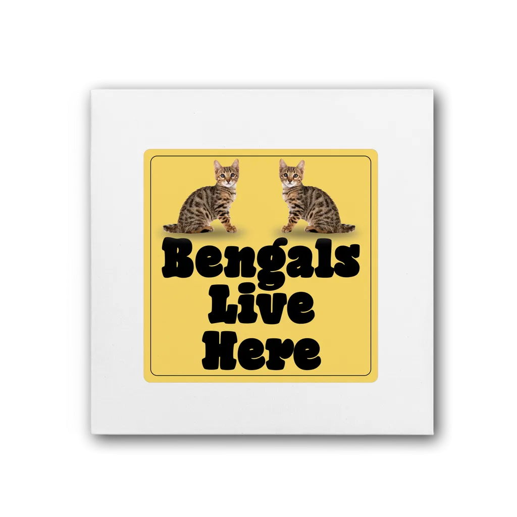 Bengals Premium Stretched Canvas