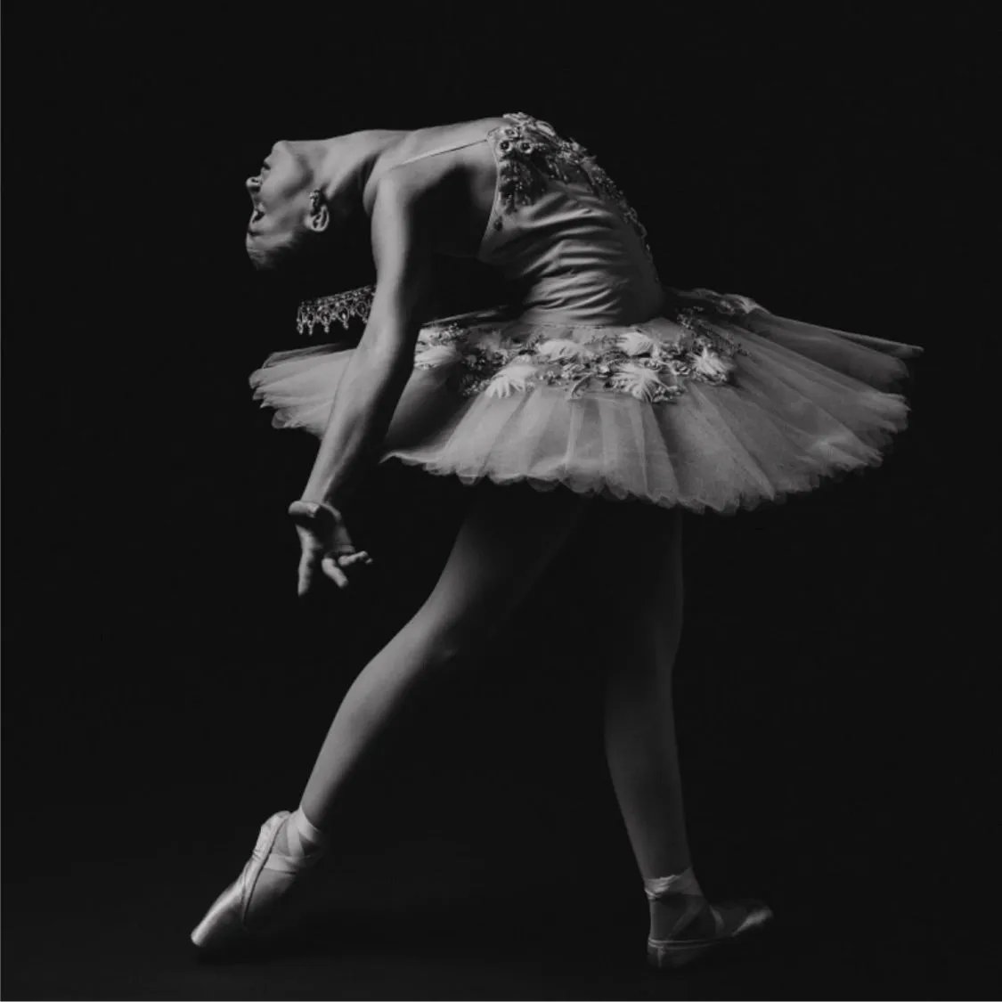 Blue Bird Tutu