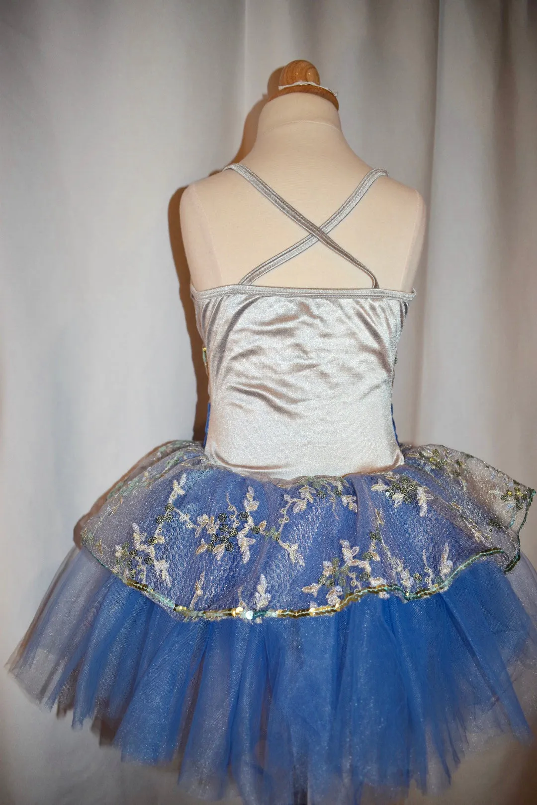 Blue Daisy