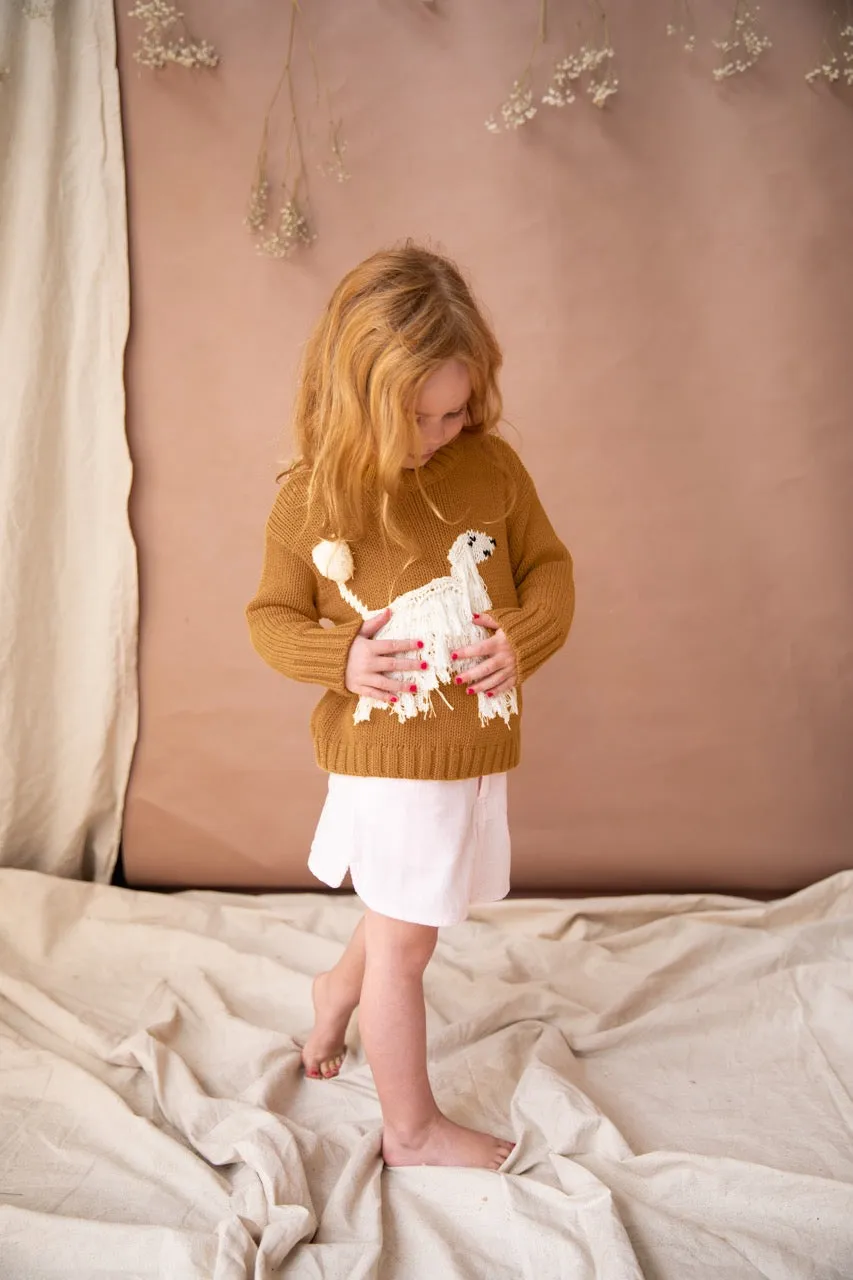 Deborah Hairy Jumper-Mustard Seeds