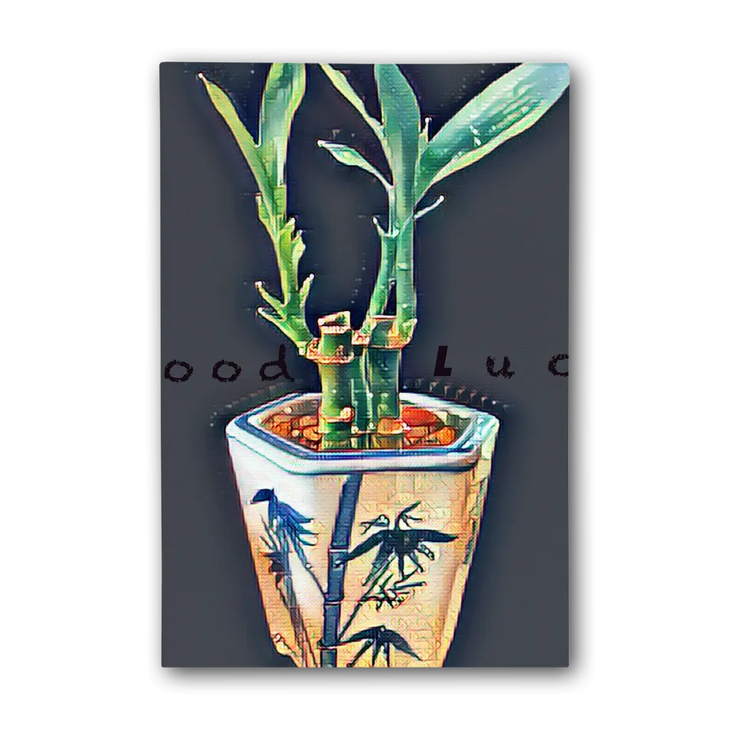 Good Luck Premium Stretched Canvas