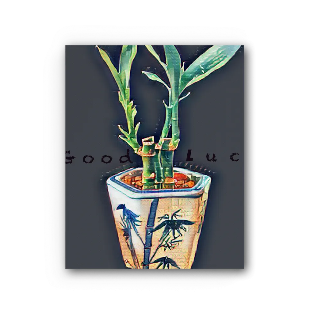 Good Luck Premium Stretched Canvas