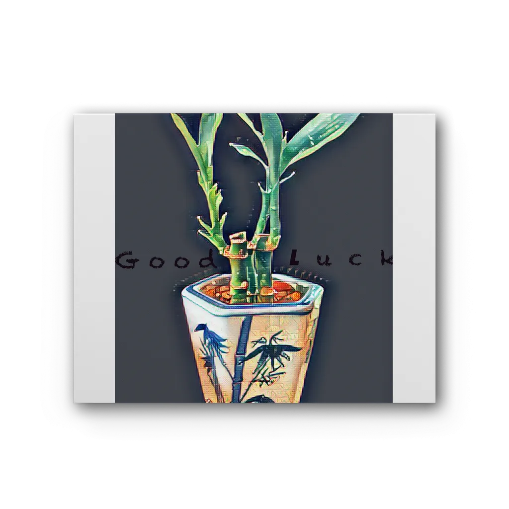 Good Luck Premium Stretched Canvas