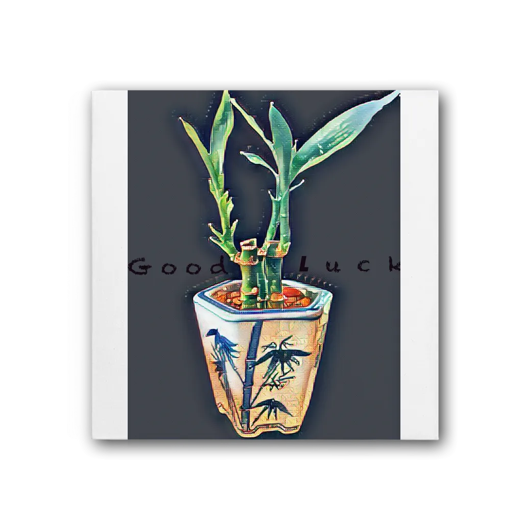 Good Luck Premium Stretched Canvas