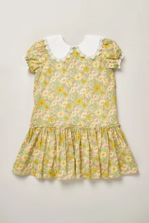 Jane Dress in Californian Poppy