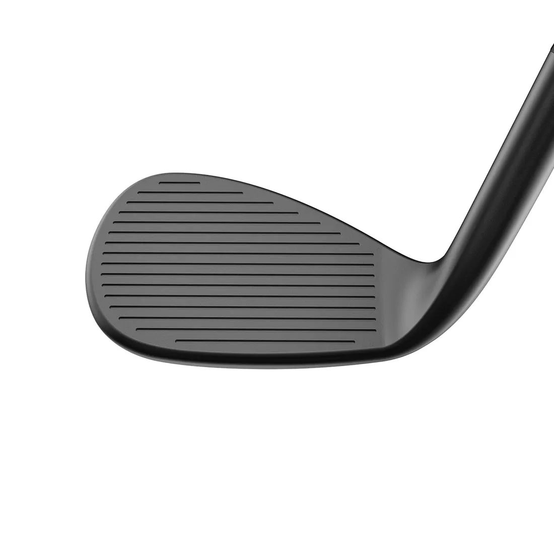 King Cobra SNAKEBITE Black Wedge