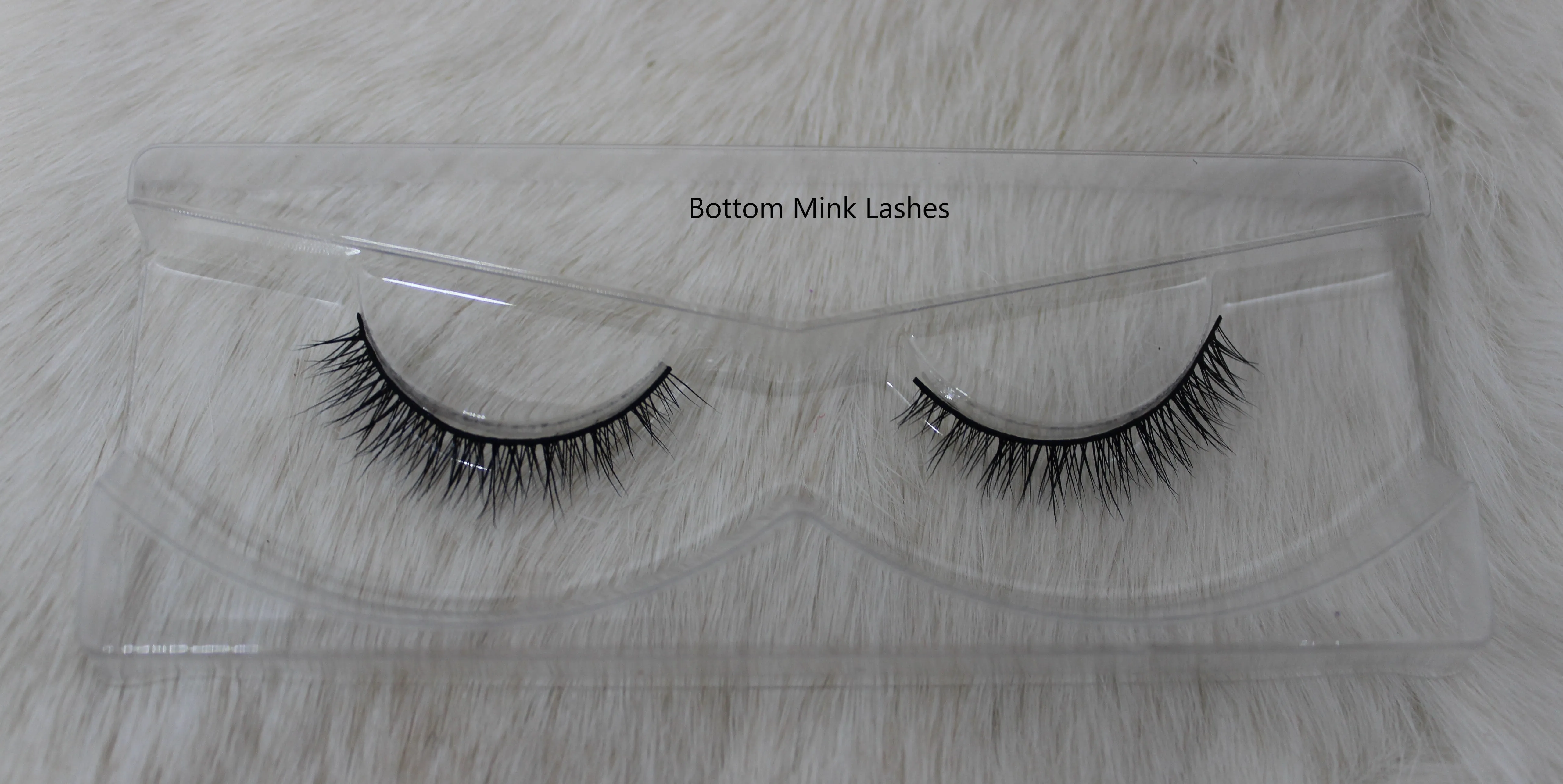 Lexington Lashes
