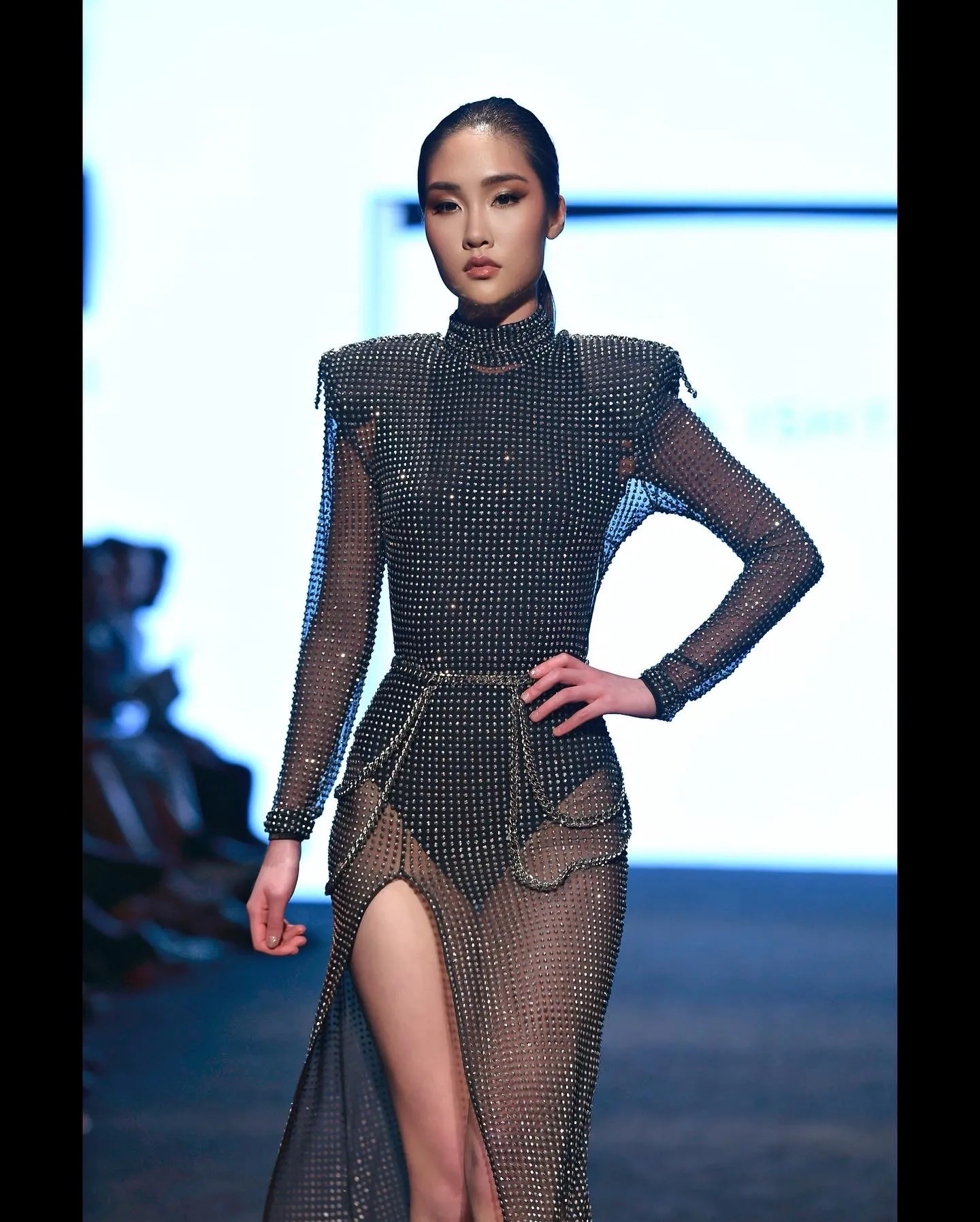 Long Sleeve High Slit Black Mesh Silver Rhinestone Dress