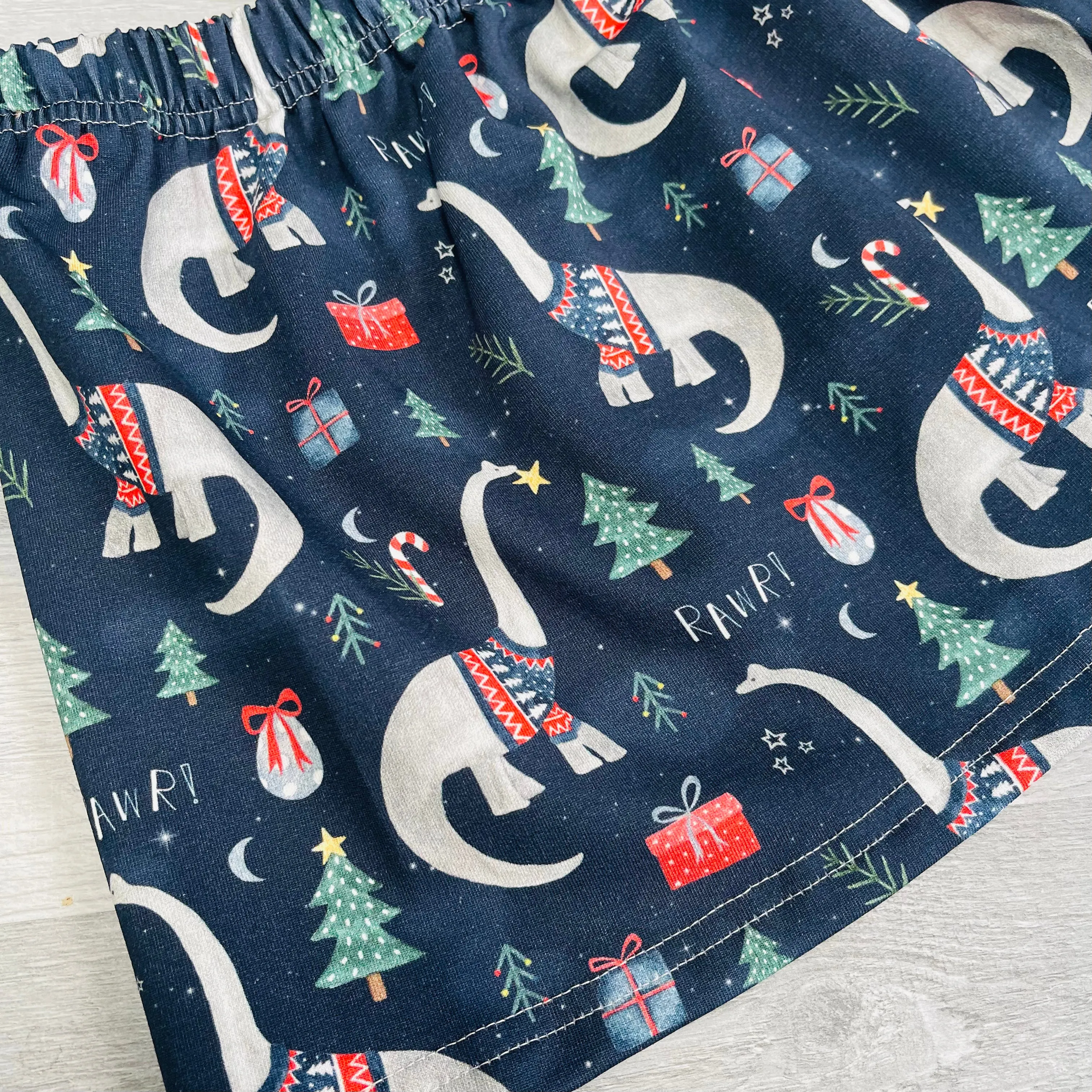 Navy Dinosaurs Circle Skirt