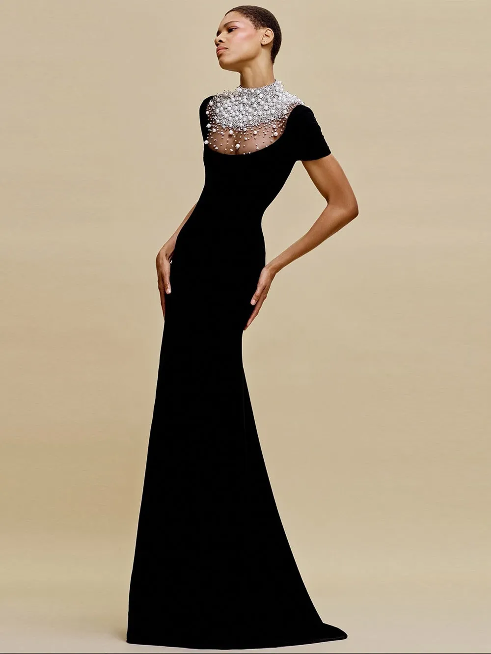 Semi-high Collar Short Sleeve Decent Maxi Bodycon Dress HT1255