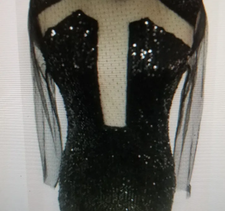 Sexy High Collar Sequin Transparent Dress