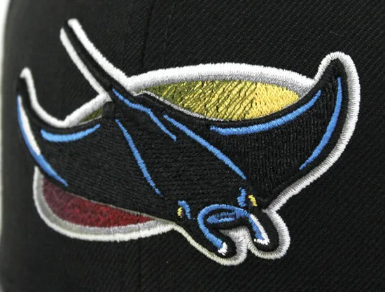 Tampa Bay Devil Rays New Era Fitted 59Fifty hat (AIR JORDAN RETRO 7 Bordeaux Gray Under Brim)