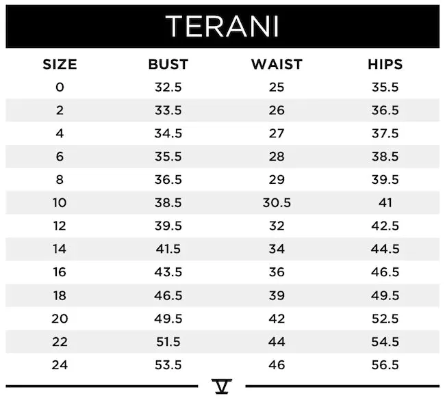 Terani Couture 231E0308 Dress